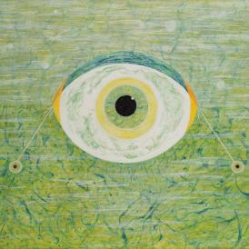 Fein_Crucial Eye_2011